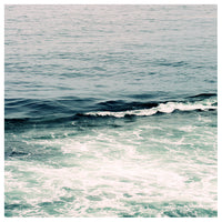 The Only One - Fine Art Photograph