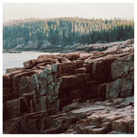 Everything Communicates - Fine Art Photograph