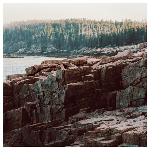 Everything Communicates - Fine Art Photograph