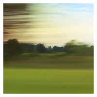 Sea of Green 2 - Fine Art Photograph