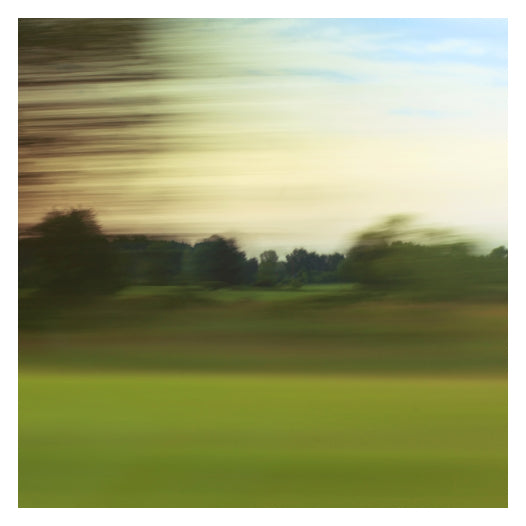 Sea of Green 2 - Fine Art Photograph