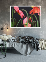Awakening #1 - Fine Art Photograph