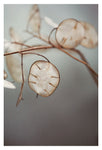 There is a Whisper - Fine Art Photograph