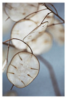 Edges - Fine Art Photograph