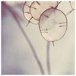 There is a Light - Fine Art Photograph
