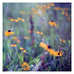 Wild Child 3 - Fine Art Photograph
