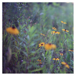 Wild Child 4 - Fine Art Photograph