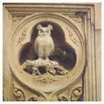 Central Park: Owl - Fine Art Photograph