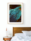 Blue Feathers #4 - Fine Art Photograph