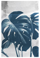 Blue Monstera #1 - Fine Art Photograph