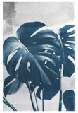 Blue Monstera #1 - Fine Art Photograph