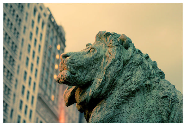 Lion in front of the Art Institute of Chicago. Photographed by Alicia Bock.