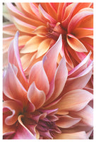 Connection #2 - Fine Art Photograph