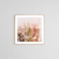 Coral Palms - Fine Art Photograph
