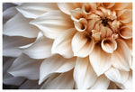Cafe Au Lait #1 - Fine Art Photograph