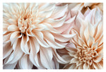 Cafe Au Lait #4 - Fine Art Photograph
