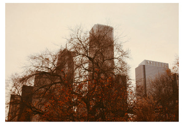 Autumn In Chicago - Fine Art Photograph