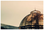 Conservatory Sun - Fine Art Photograph