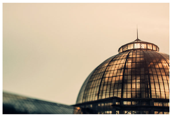 Conservatory Sun - Fine Art Photograph