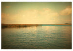 Number 7 - Fine Art Photograph