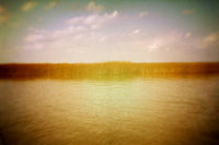Number 9 - Fine Art Photograph
