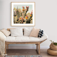 Desert Rose - Fine Art Photograph
