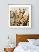 Desert Rose - Fine Art Photograph
