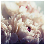 Ethereal -  Fine Art Photograph