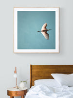 Egret #1 - Fine Art Photograph