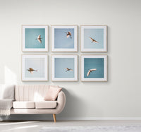 Egret #6 - Fine Art Photograph