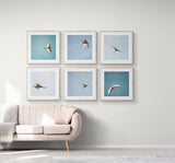 Egret #6 - Fine Art Photograph