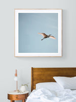 Egret #3 - Fine Art Photograph