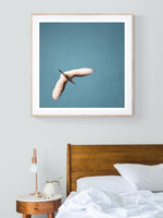 Egret #6 - Fine Art Photograph