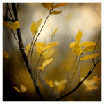 Fog - Fine Art Photograph