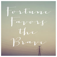 Fortune Favors (Wires) - Fine Art Photograph
