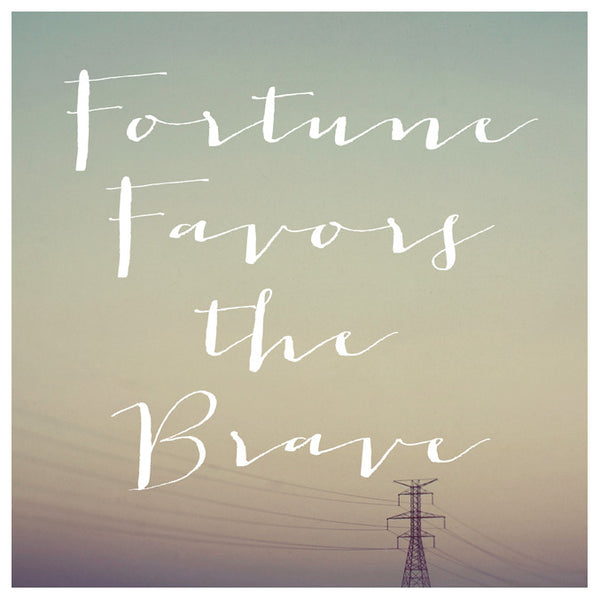 Fortune Favors (Wires) - Fine Art Photograph
