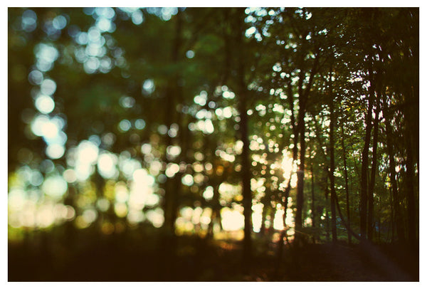 In Secret - Fine Art Photograph