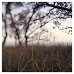 The Coast #3 - Fine Art Photograph
