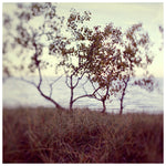 The Coast #2 - Fine Art Photograph