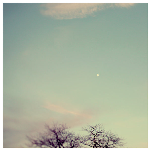 Moonrise - Fine Art Photograph