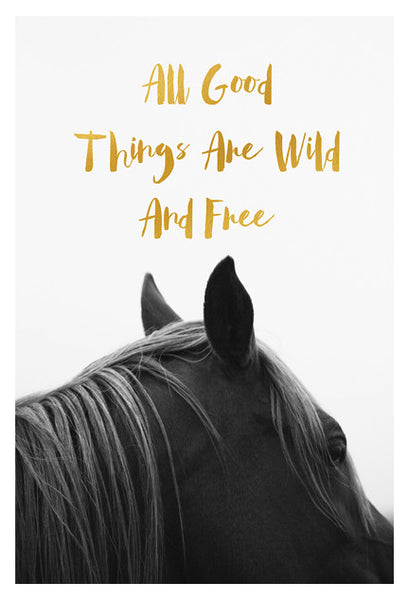 All Good Things Are Wild & Free (Horse) - Fine Art Photograph