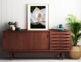 Grandiflora #1 - Fine Art Photograph