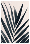 Gray Palm #3 - Fine Art Photograph