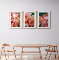 Hibiscus Detail #2 - Fine Art Photograph