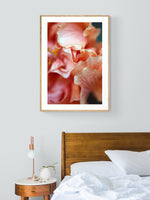 Hibiscus Detail #1 - Fine Art Photograph