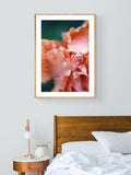 Hibiscus Detail #2 - Fine Art Photograph