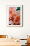 Hibiscus Detail #3 - Fine Art Photograph