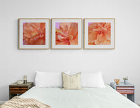 Hibiscus Sun #1 - Fine Art Photograph