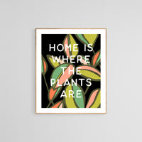 Home Is Where The Plants Are - Modern Art Print