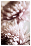 In The Background - Fine Art Photograph